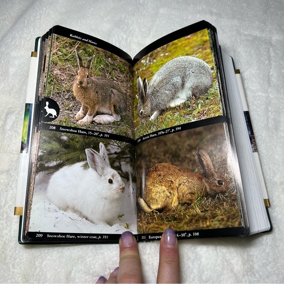 Audubon Society Field Guide to - Night Sky, Mammals, & handbook of Western Birds - Picture 6 of 16